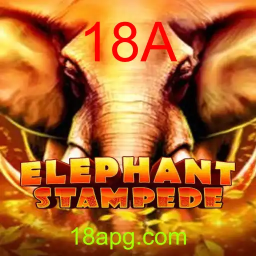 ElephantStampede